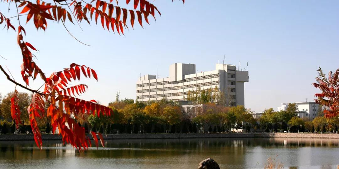 宁夏大学211是什么意思,宁夏大学211双一流吗