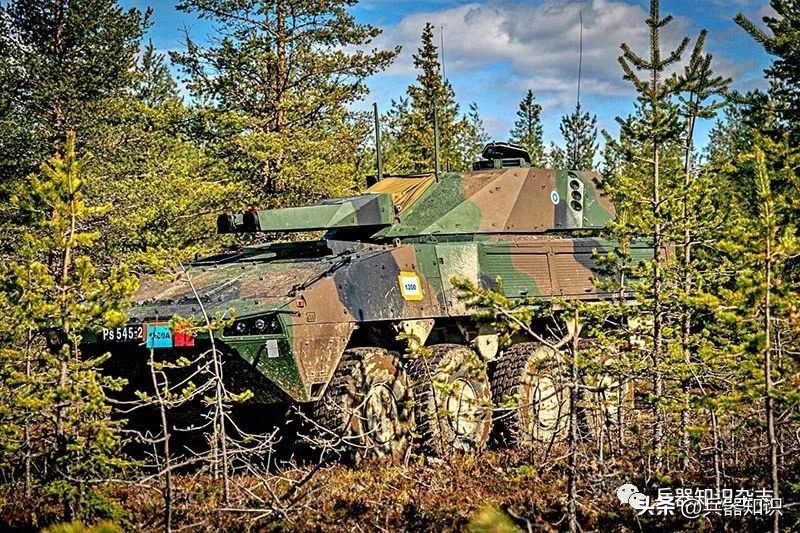 外军演习现场（7），“凯撒”、AMOS和D30