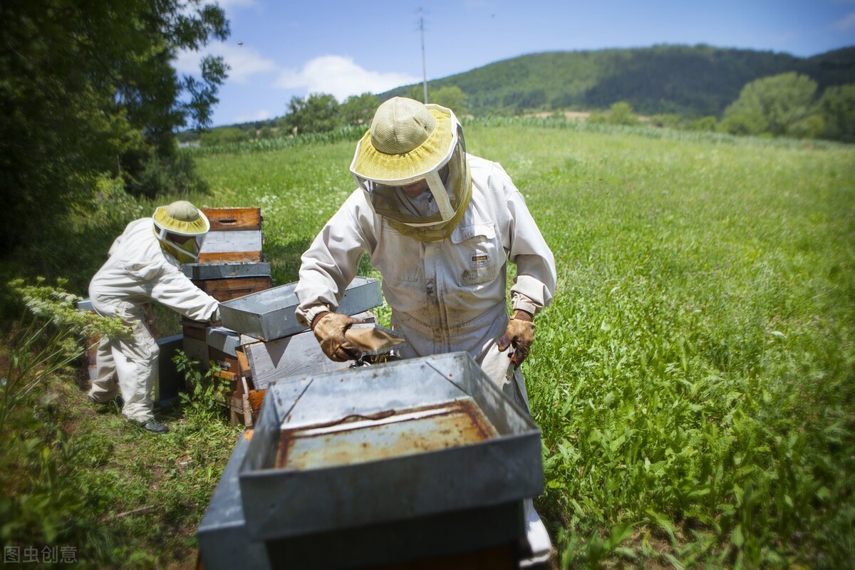 云南大山深处的大山,云南大山里的快乐