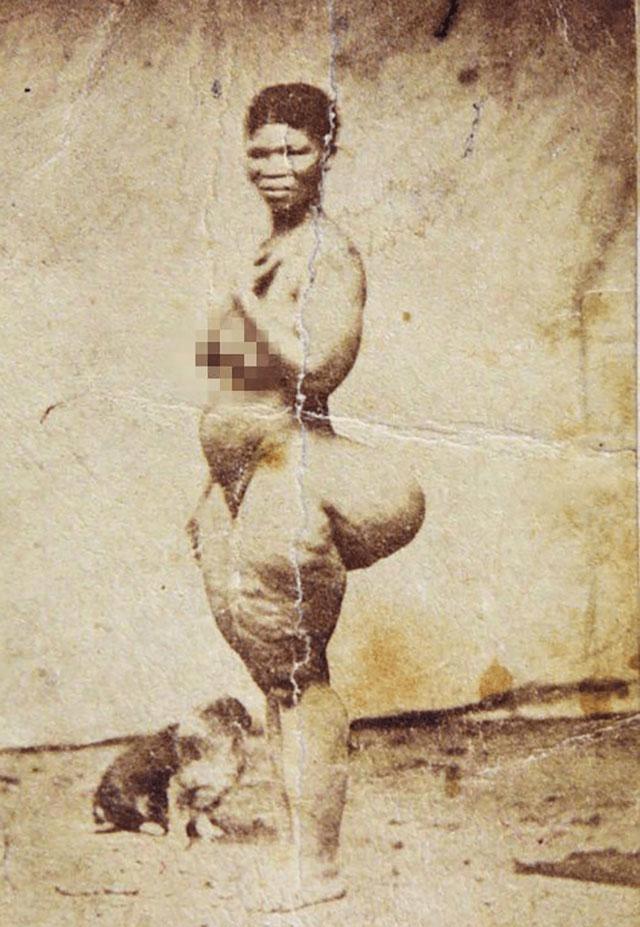 南非女孩巴特曼：被当做动物供欧洲人观赏，死后被制成标本