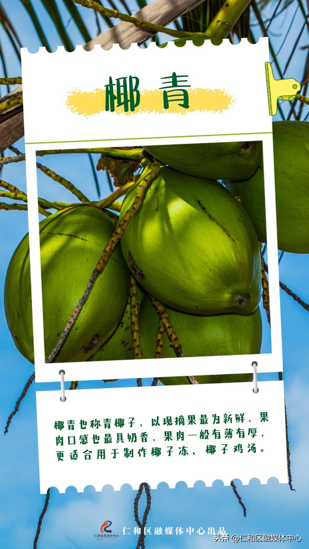 超甜的热带水果有哪些,好看好吃又不常见的水果