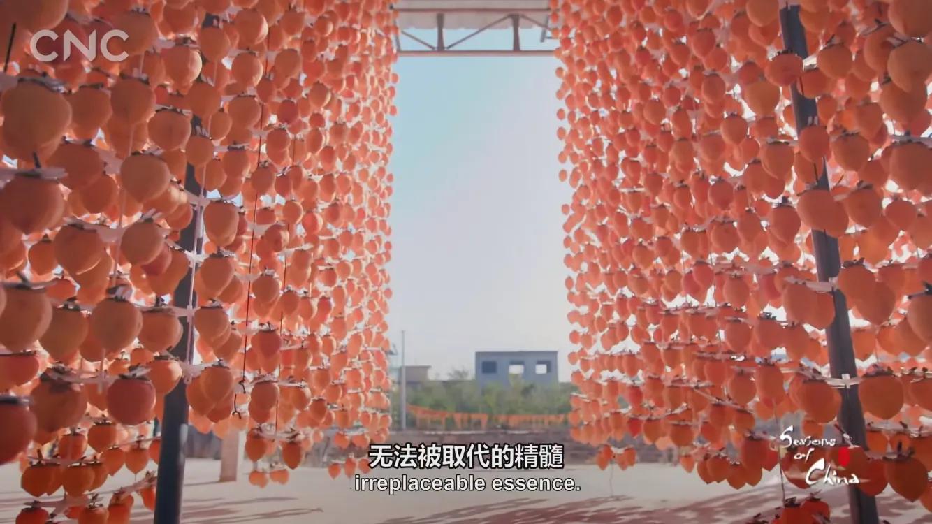 霜降有好柿，橘红色“灯笼”的变形记