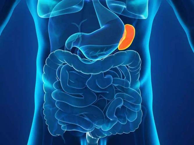 腹泻针灸推拿穴位,一般治疗腹泻的推拿穴位