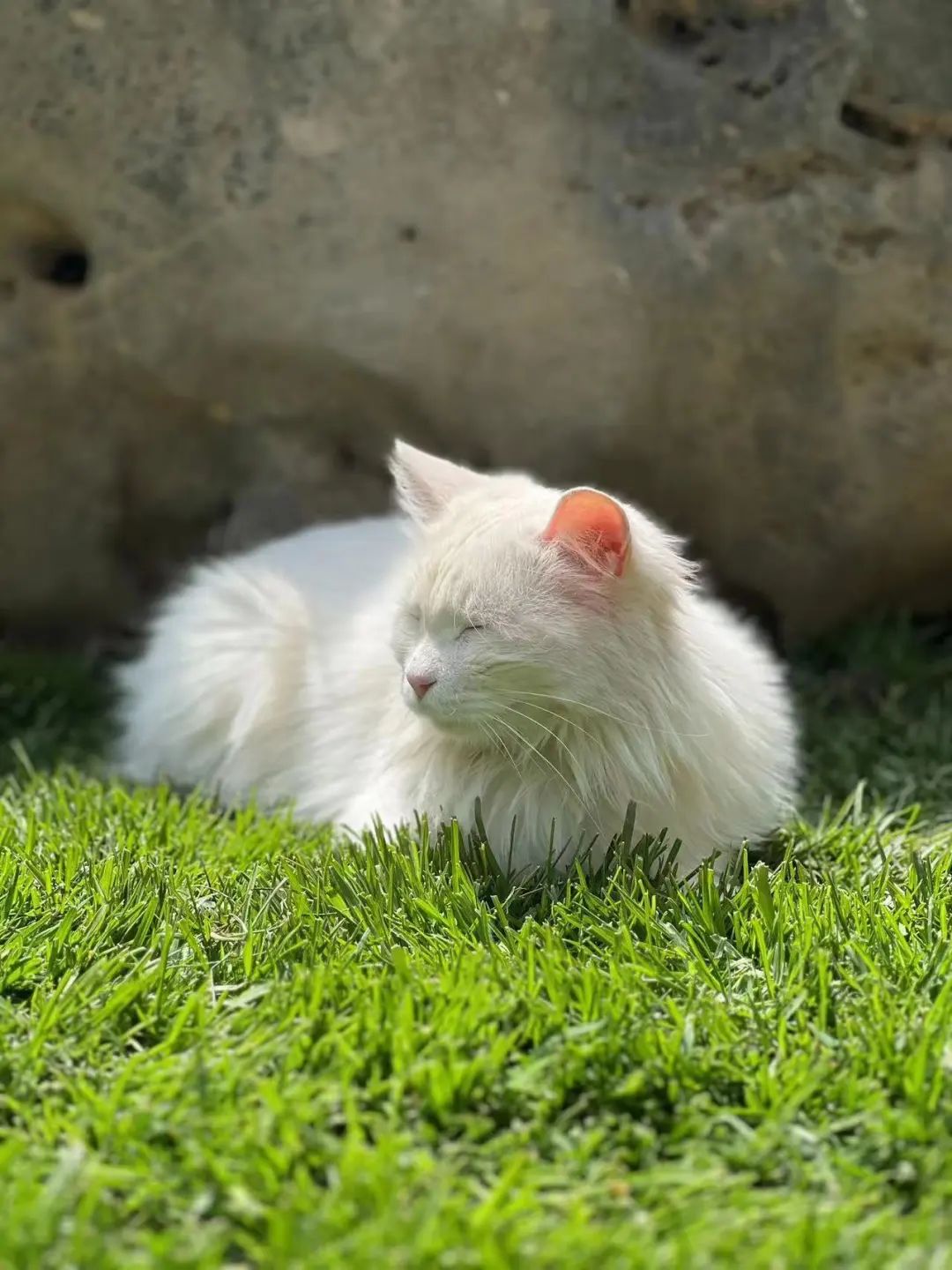 赵明明：上班摸鱼，是我的梦想!