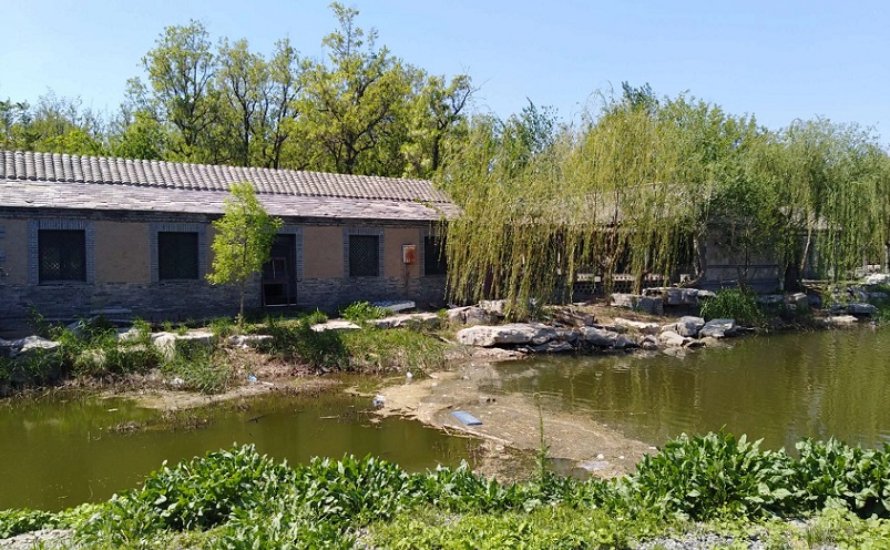 天津周边冷门海边,五一短途冷门自驾游天津