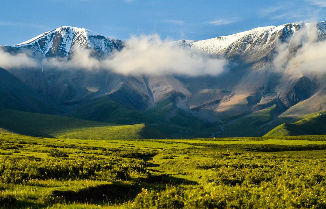 赞美天山的著名诗句,关于天山的诗句和优美词句