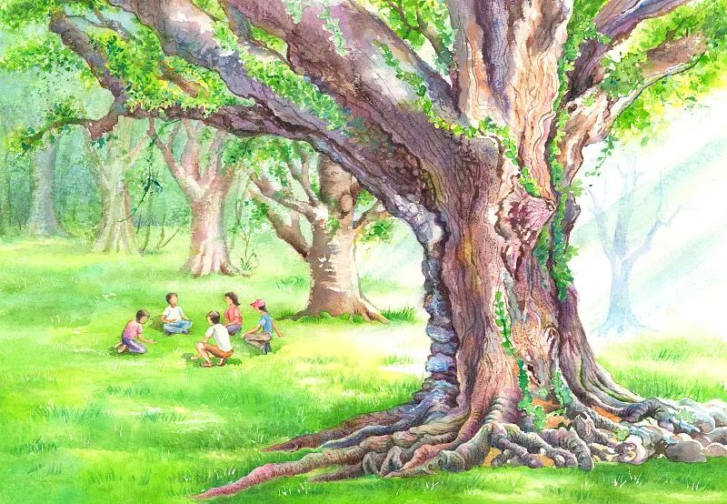 不用形容词，怎么写出优美的句子