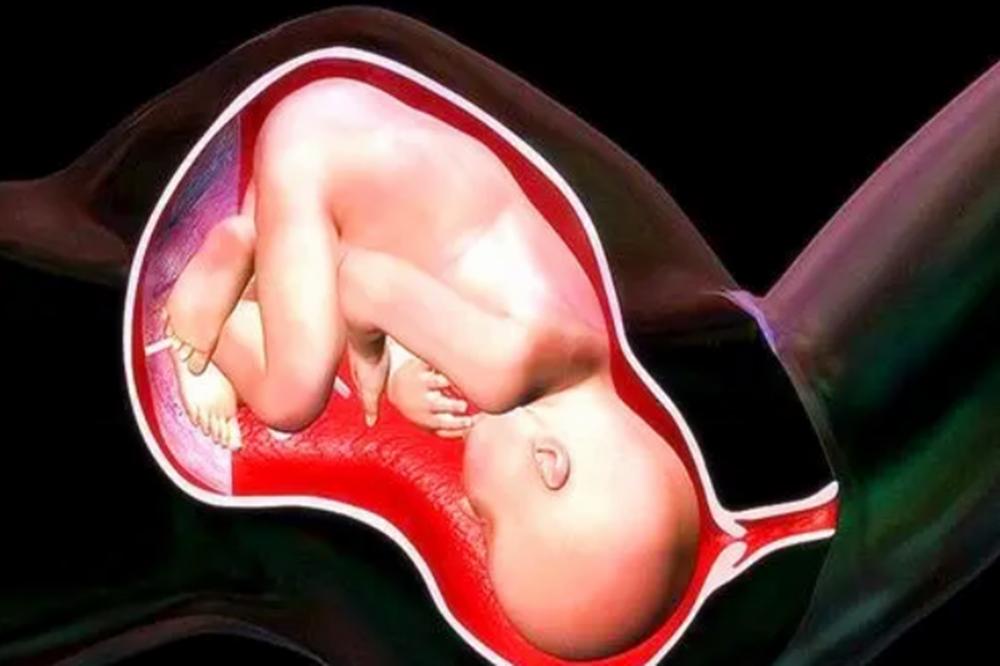 孕晚期宝宝头大一直撑着肚皮,孕晚期宝宝头腹都偏小