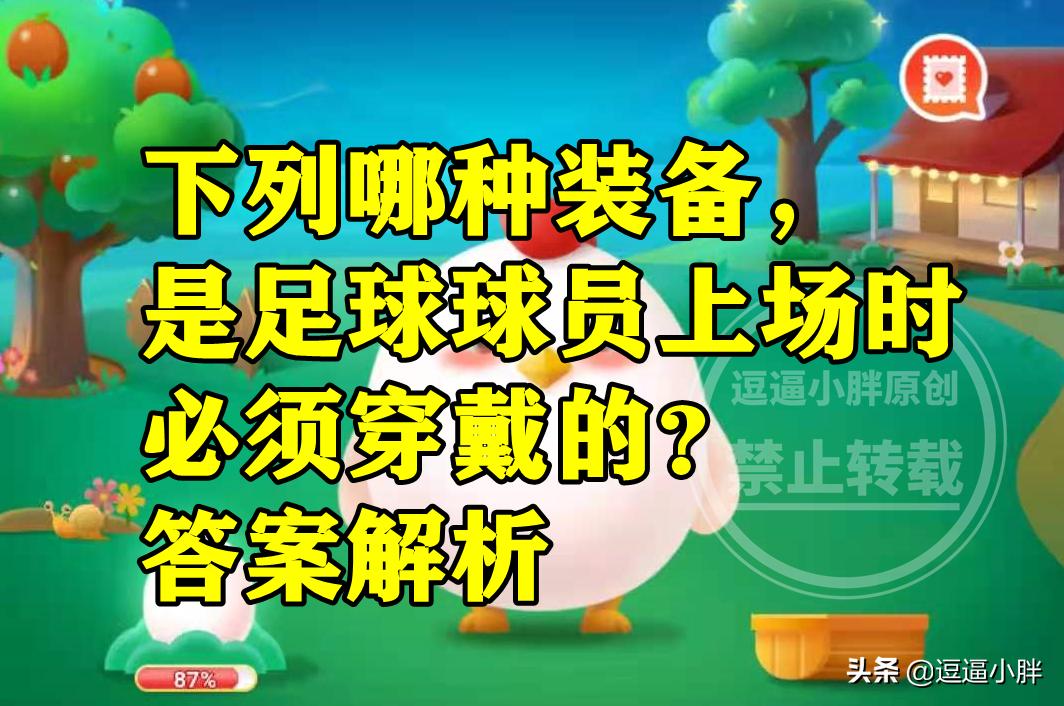 蚂蚁庄园欧洲杯皮肤,蚂蚁庄园小鸡服装