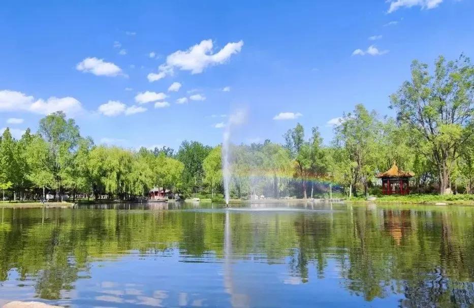 大学填报志愿最好的七个专业,未来5年志愿填报最好的专业