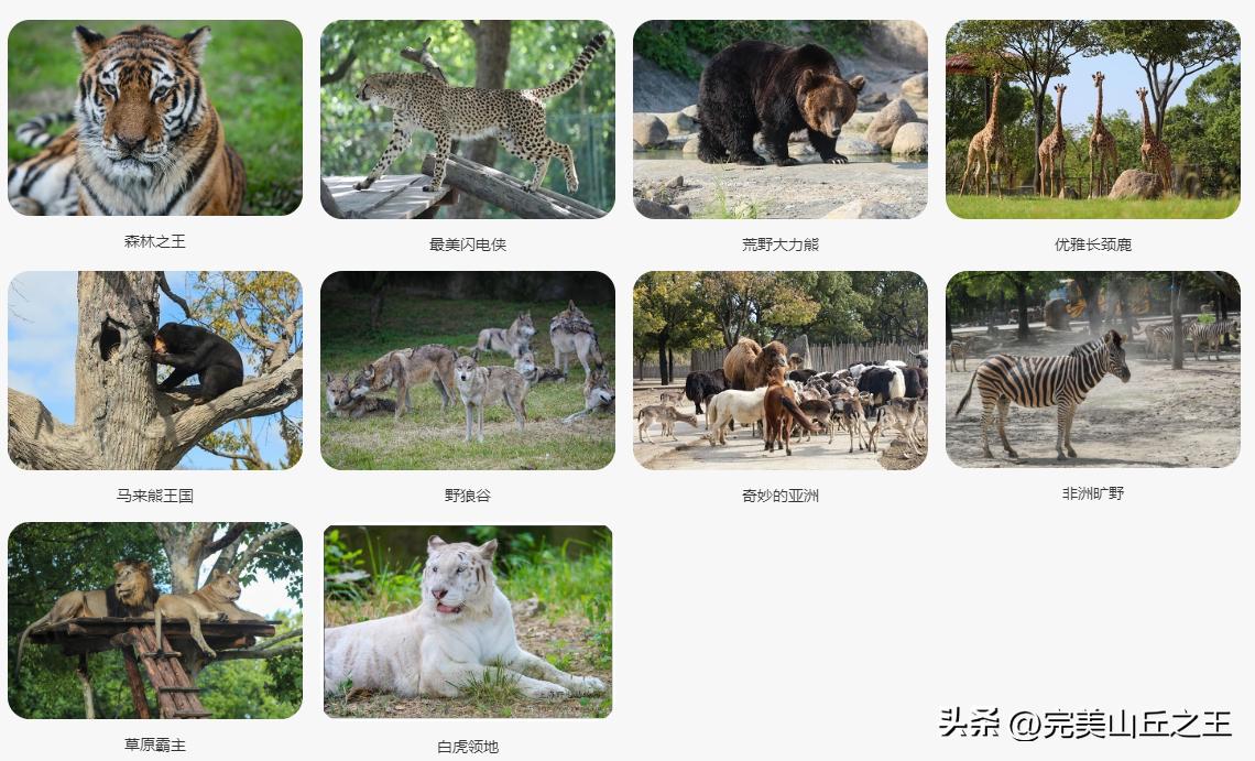 上海旅游18个景点攻略,上海周边有山的5a景区