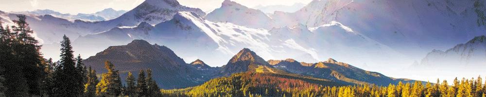 从10元卖到14元涨价了多少,最近哪些老物件价值在上涨