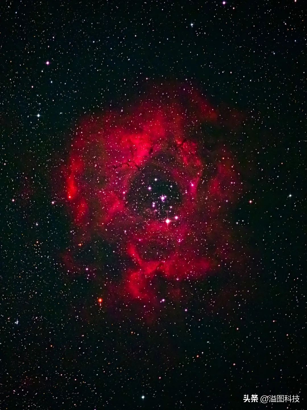 网友好物推荐,网友推荐好物