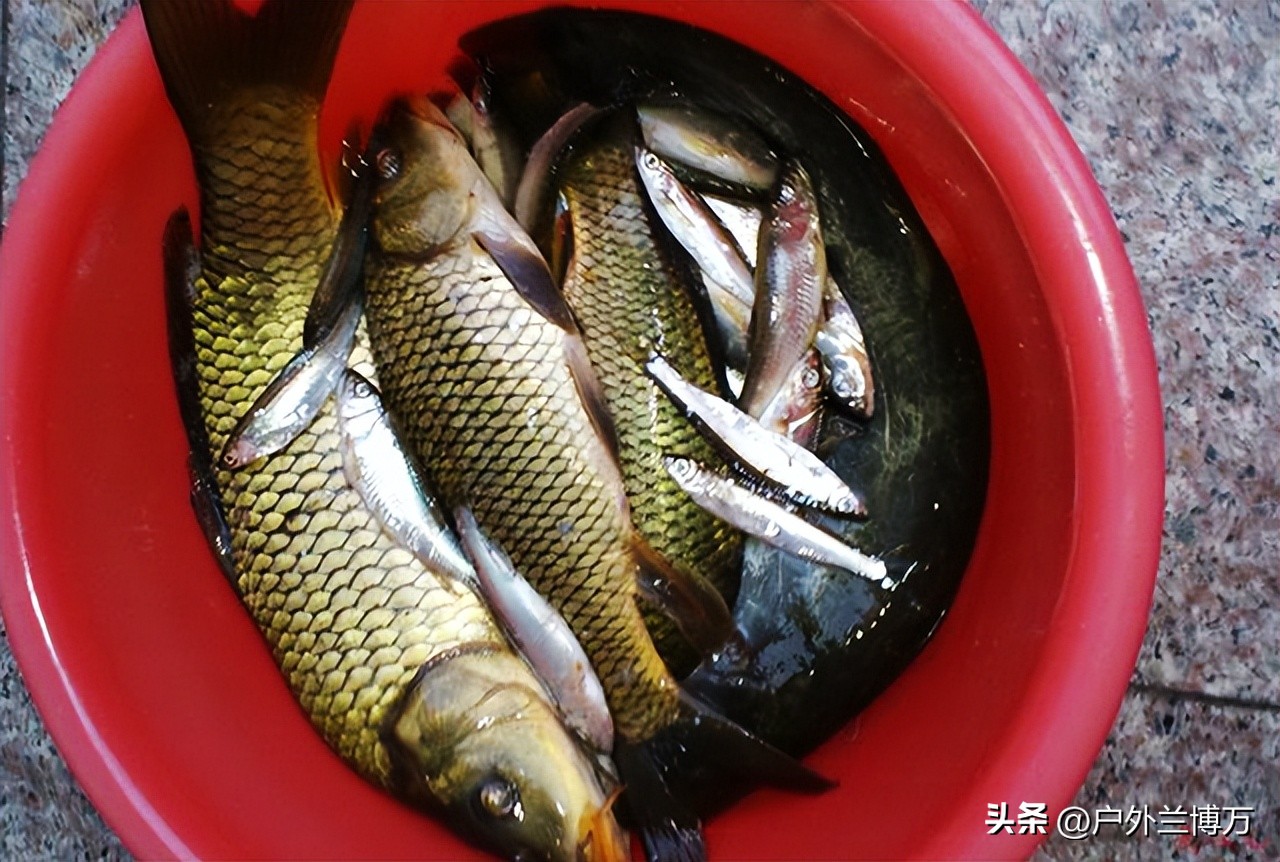 钓鱼有没有通用的添加剂,一年四季都可钓鱼用的添加剂