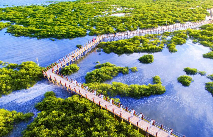 北海景区内有哪些景区免费,北海收费