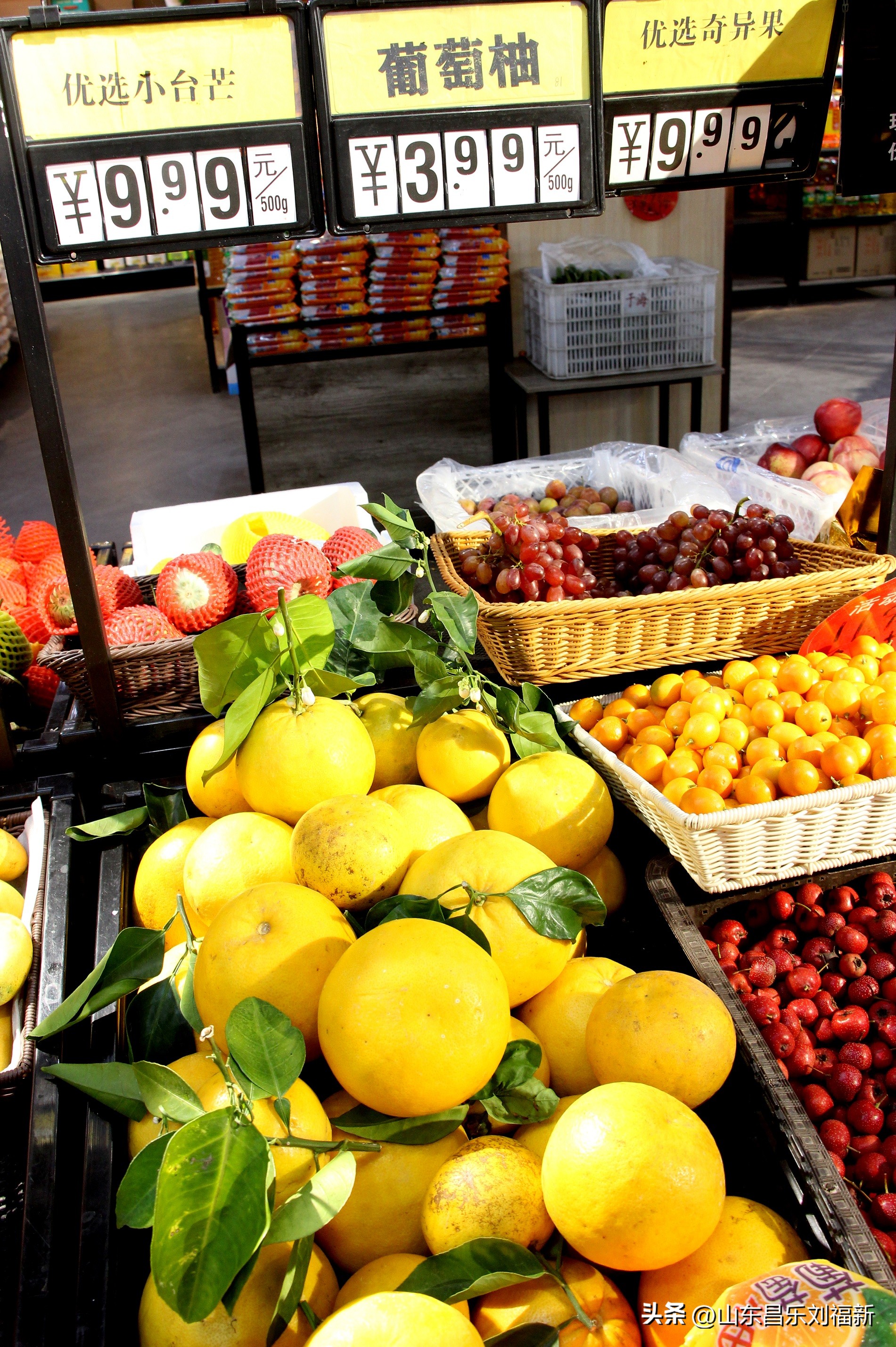 2023年3月中旬散拍·一点儿感受