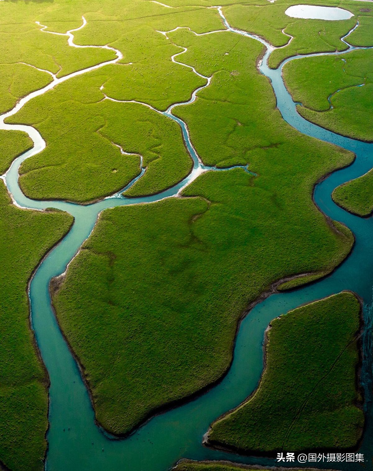 世界顶级唯美人像摄影师,世界顶级自然摄影师作品