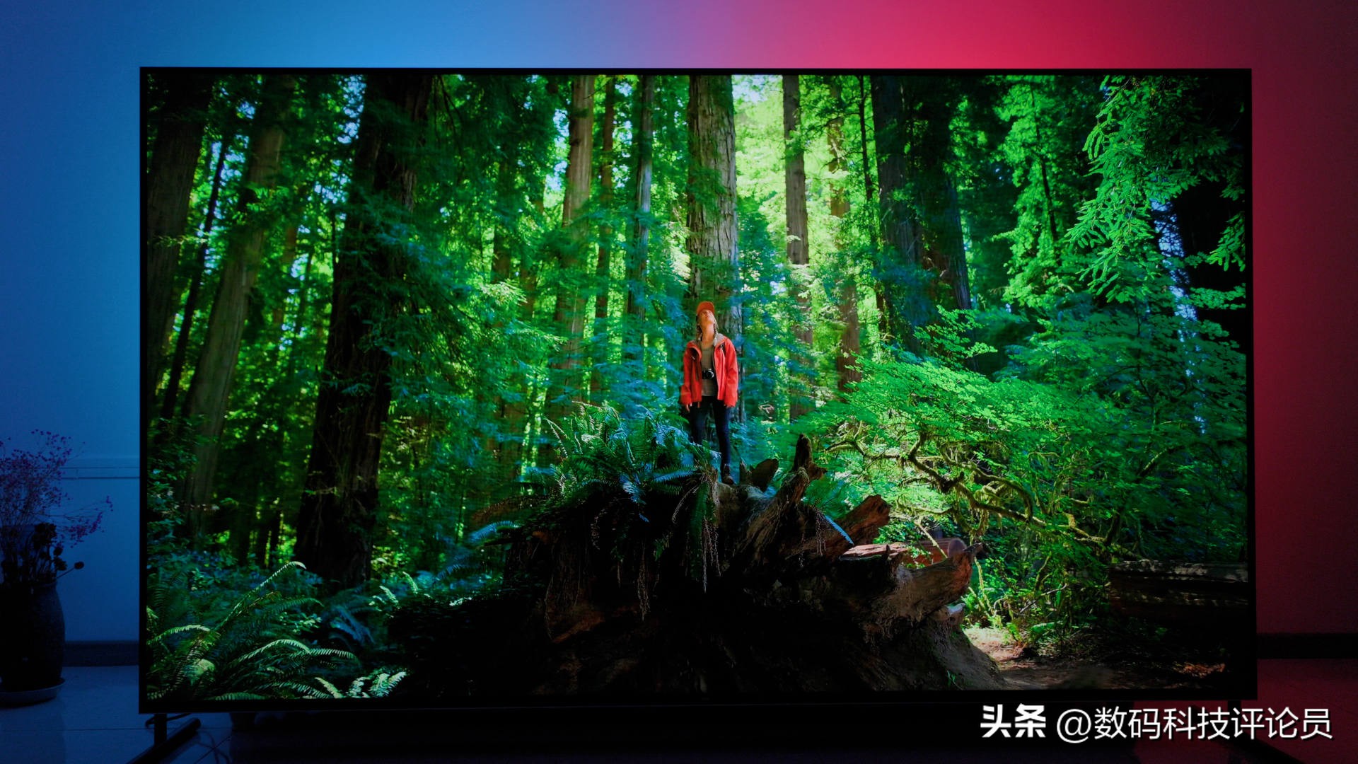 tcl98寸q10gminiled评测,tcl98寸电视深度评测