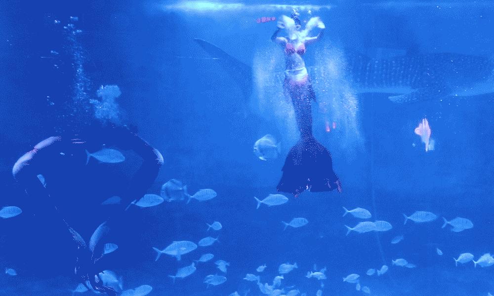 千寻青岛取景地烟台,烟台磁山航拍取景地