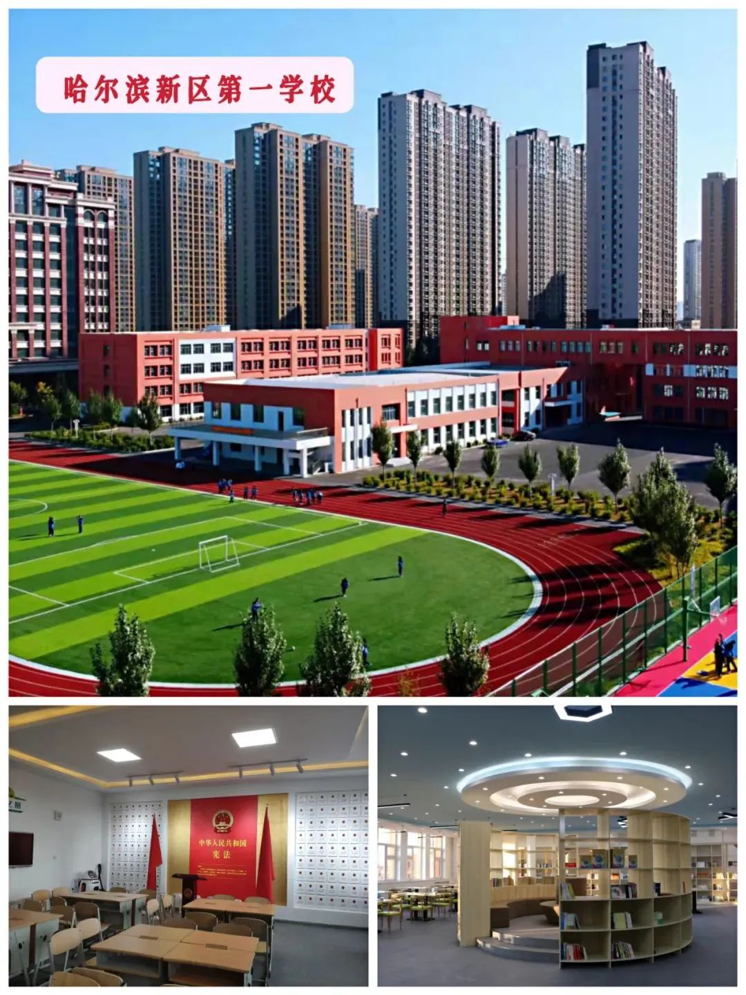 哈尔滨市新区第六学校位置在哪,哈尔滨新区第五校和第七校