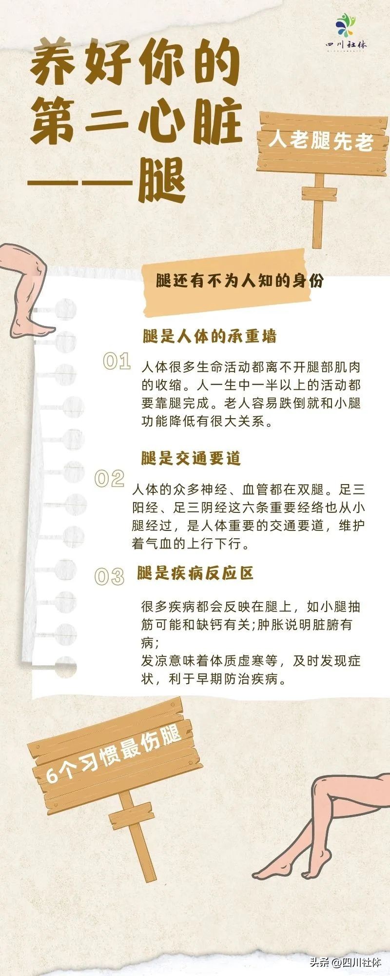 腿是身体的第二个心脏,腿是人类第二颗心脏