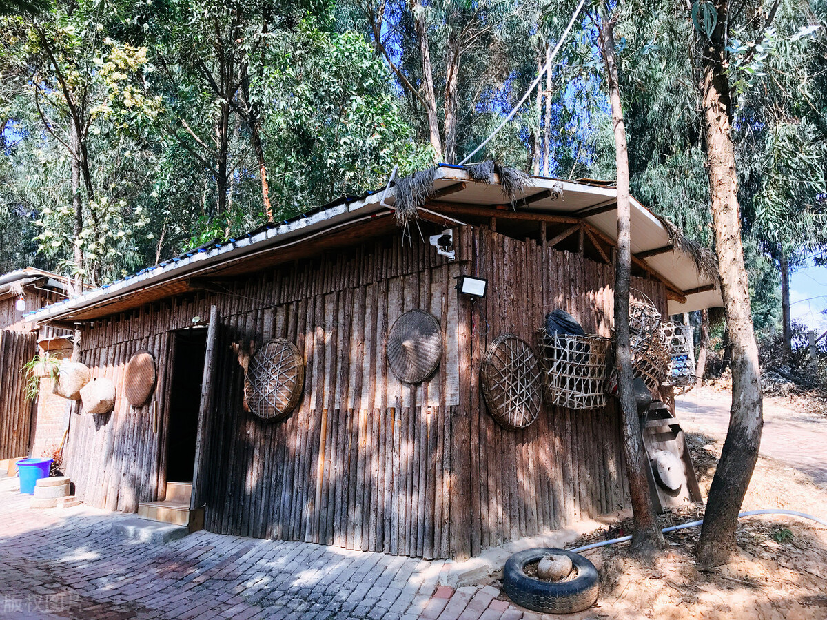 初中三年逆袭机会最大的是哪一年,低学历逆袭人生案例