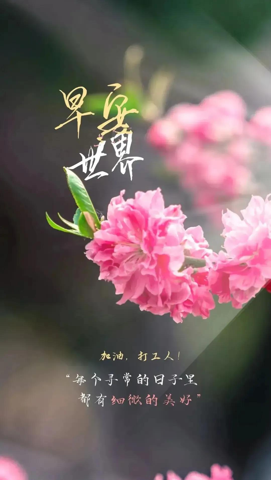 乙木命2023年癸卯年运势怎样,农历2023年癸卯年正月结婚吉日