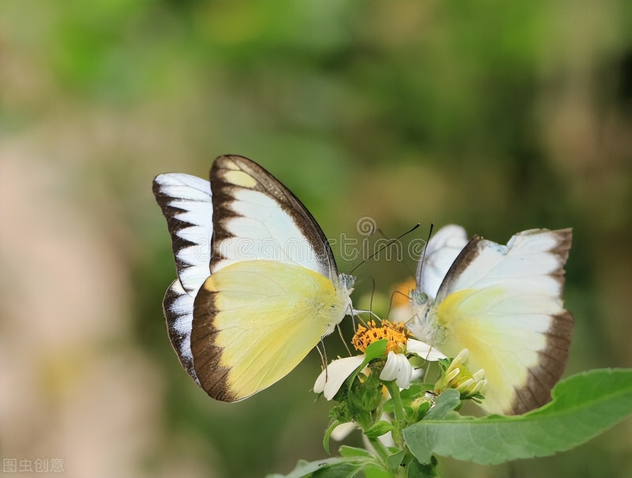受了委屈怎么办,当你受到委屈时怎么办