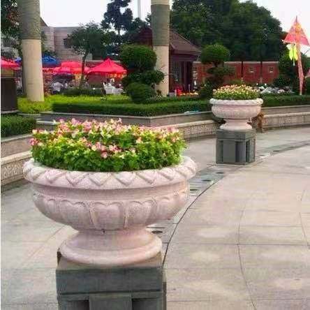 对房屋危害最大的植物,小区树木存在安全隐患