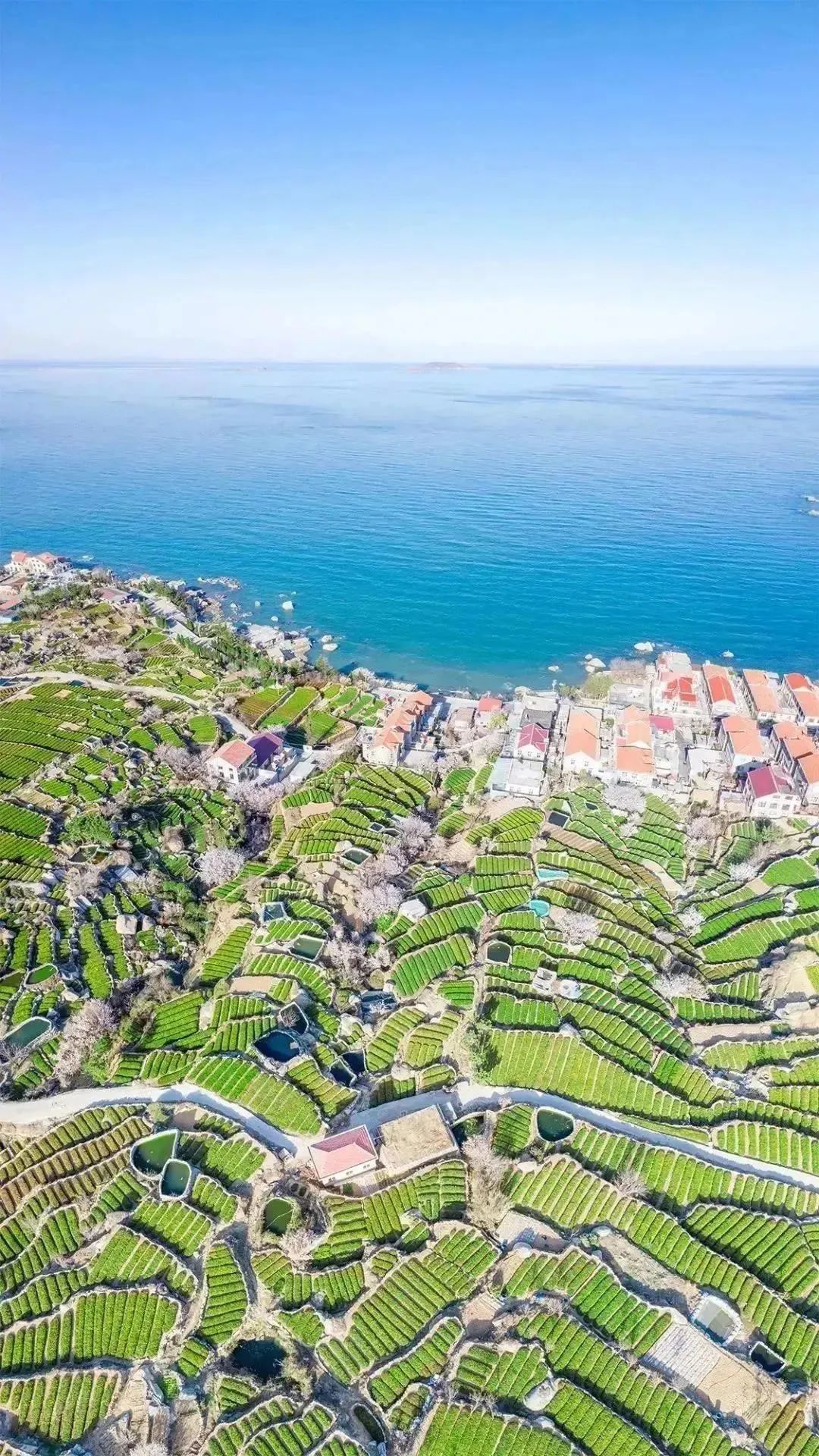 围炉煮茶，让山东好物带你感受冬日专属浪漫！