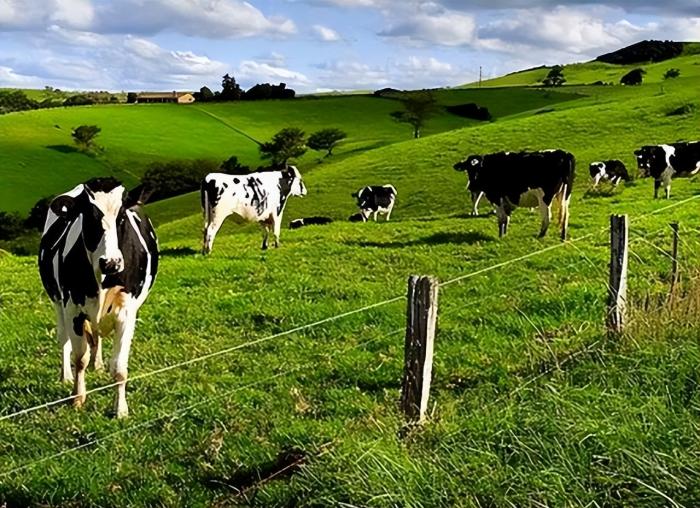 英国是由哪四大部分组成的,英国和威尔士的关系