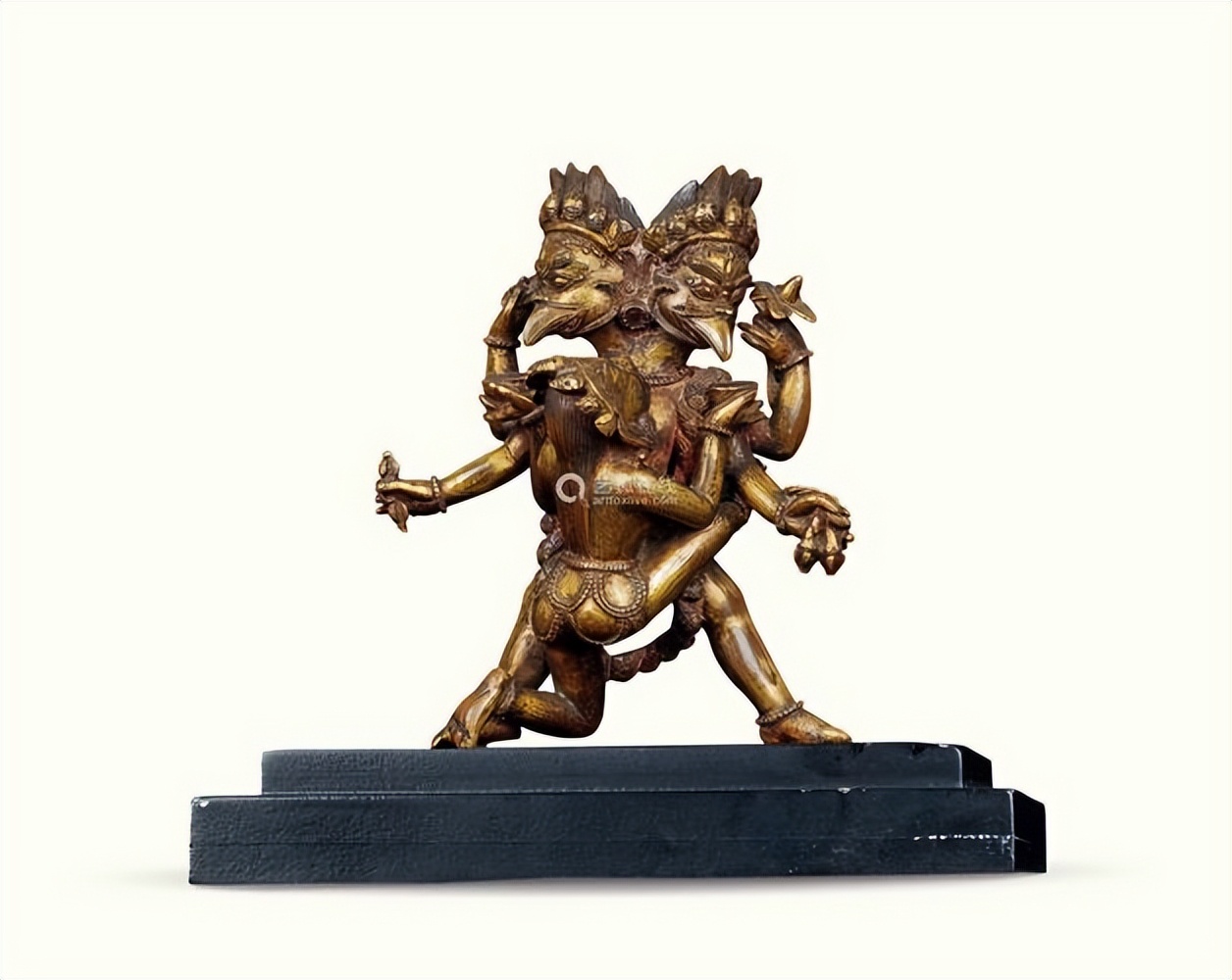 《金翅雀》内容赏析,金翅雀的描述