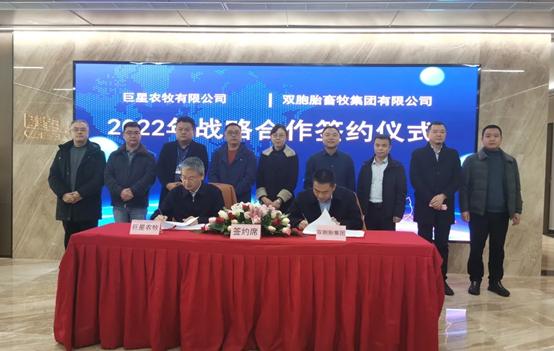 双胞胎和巨星农牧怎么选,双胞胎生猪上市计划