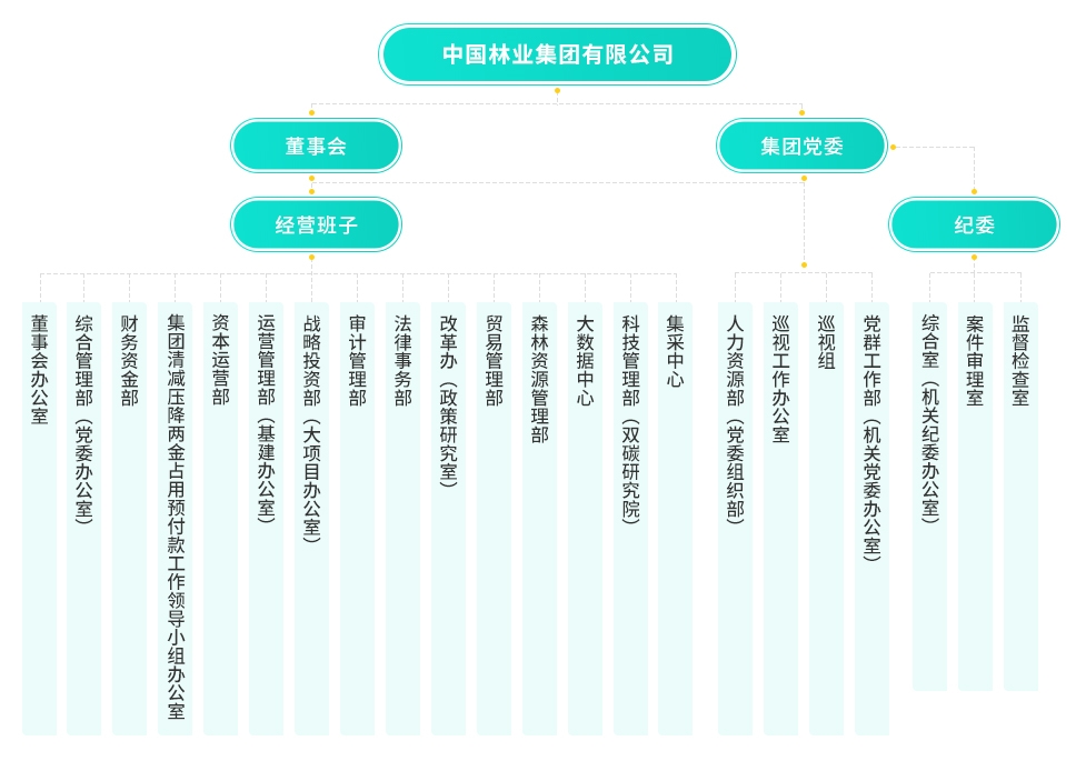 中林集团国资监管,国资委中林集团林产品