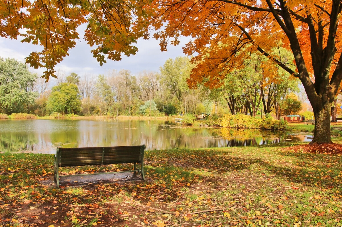 江南行作者张德富