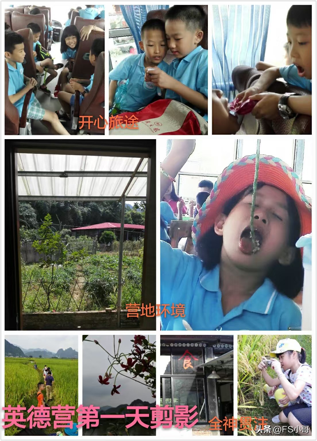 夏令营必不可少的活动,夏令营各个项目孩子玩的样子