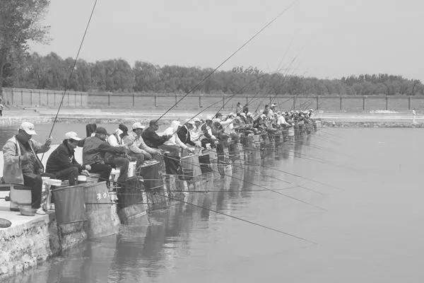 钓界丑闻，李大毛和爱徒“直播对骂”，扯出张姨是炒作吗？