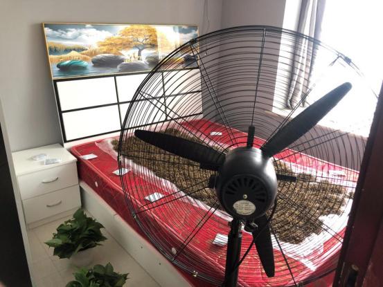 2022全网最全丨新房装修如何安全有效除甲醛，不交智商税、深度分析除甲醛看这一篇就够了！