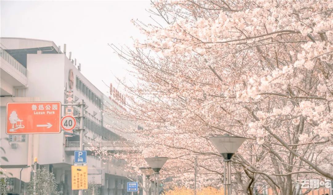 实用全上海532家公园攻略速速收藏,上海攻略必去的公园