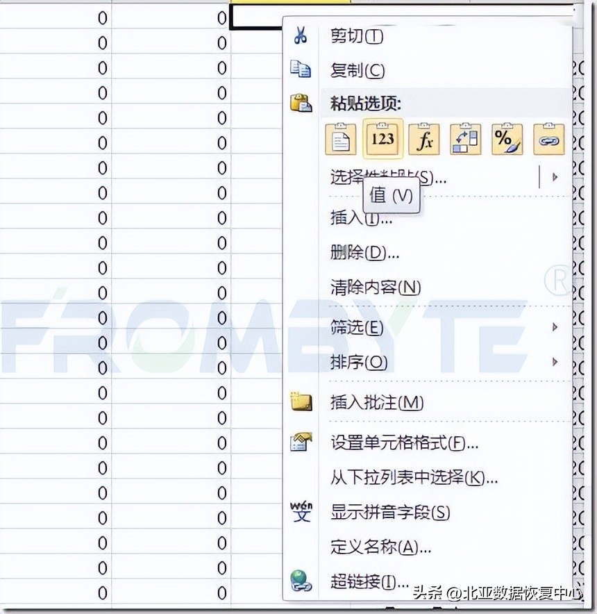 北亚文件系统数据恢复,北亚数据恢复方案