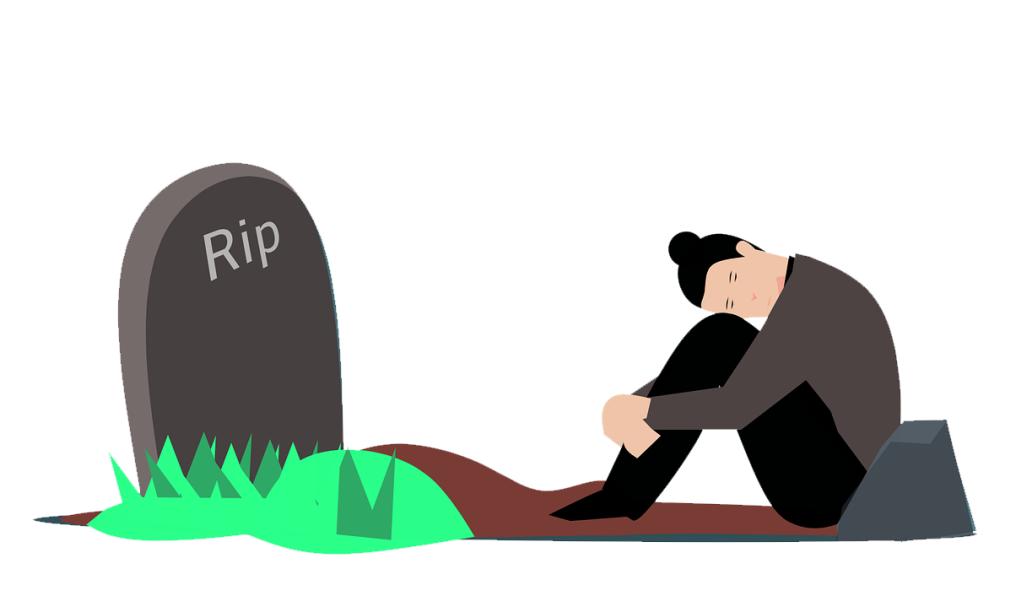 宠物离世痛苦不已，如何缓解这份悲痛？