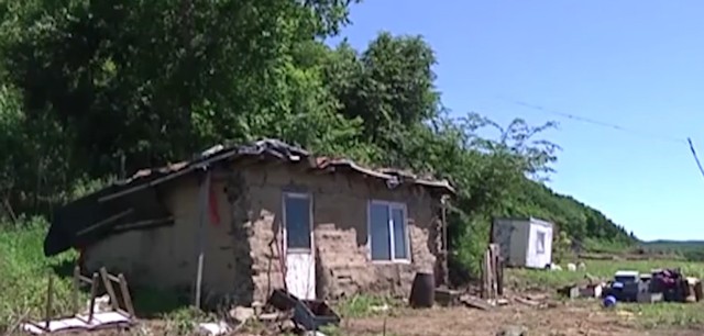 黑龙江养蜂女刘玉平：与20条大蛇同睡在一张床上，至今没被咬过