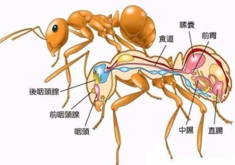 4维空间已被证明真实存在,4维空间被证实存在人进去会怎样