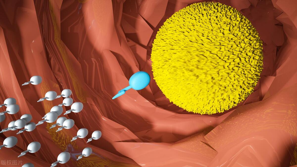 卵泡不成熟最好的治疗方法,卵泡不成熟怎么办