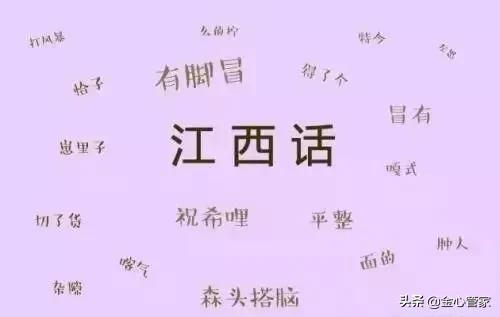 各地方言经典口头禅,各地方口头禅方言