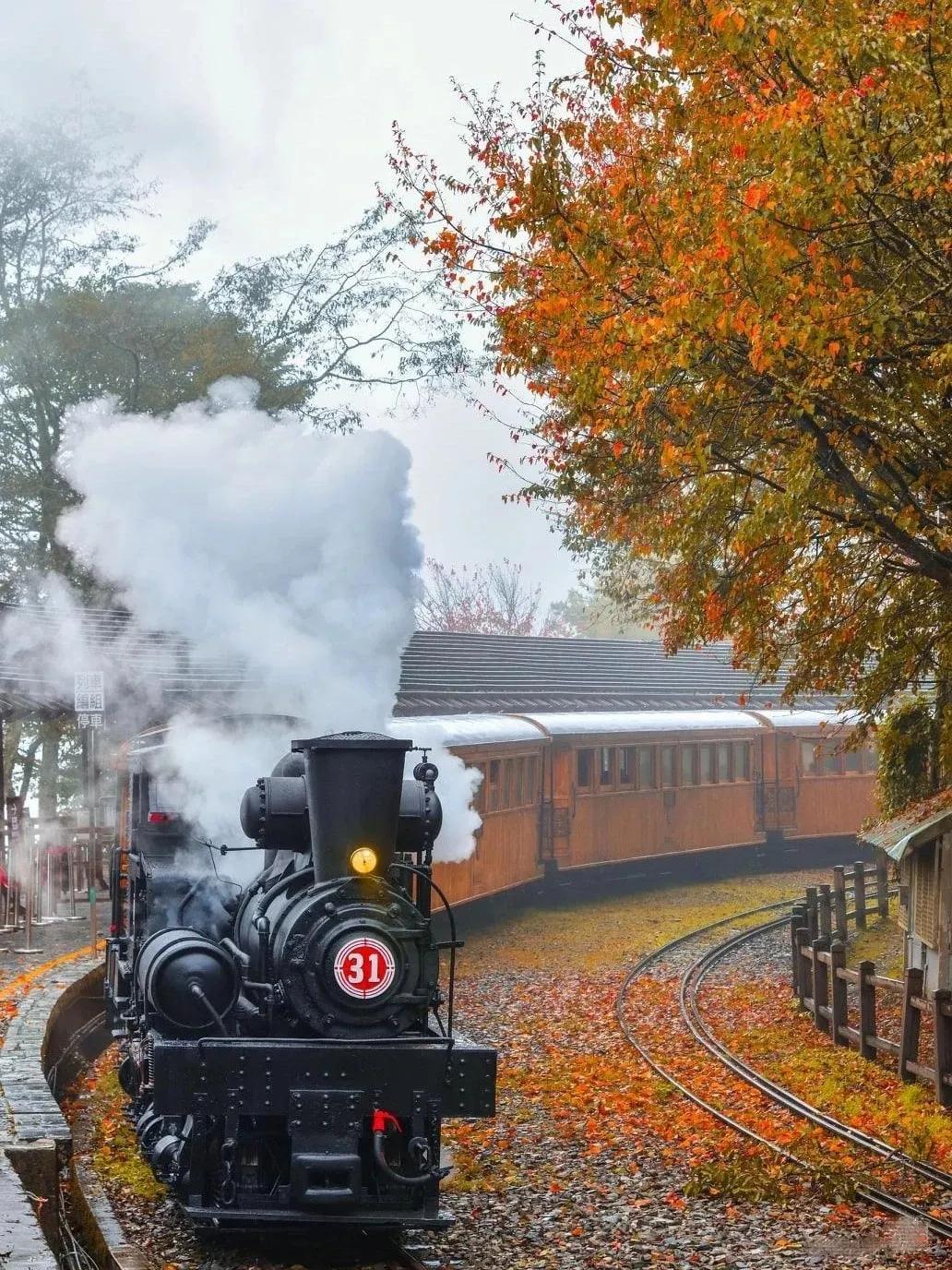 避暑胜地有山有水有树林,大别山避暑胜地有哪些