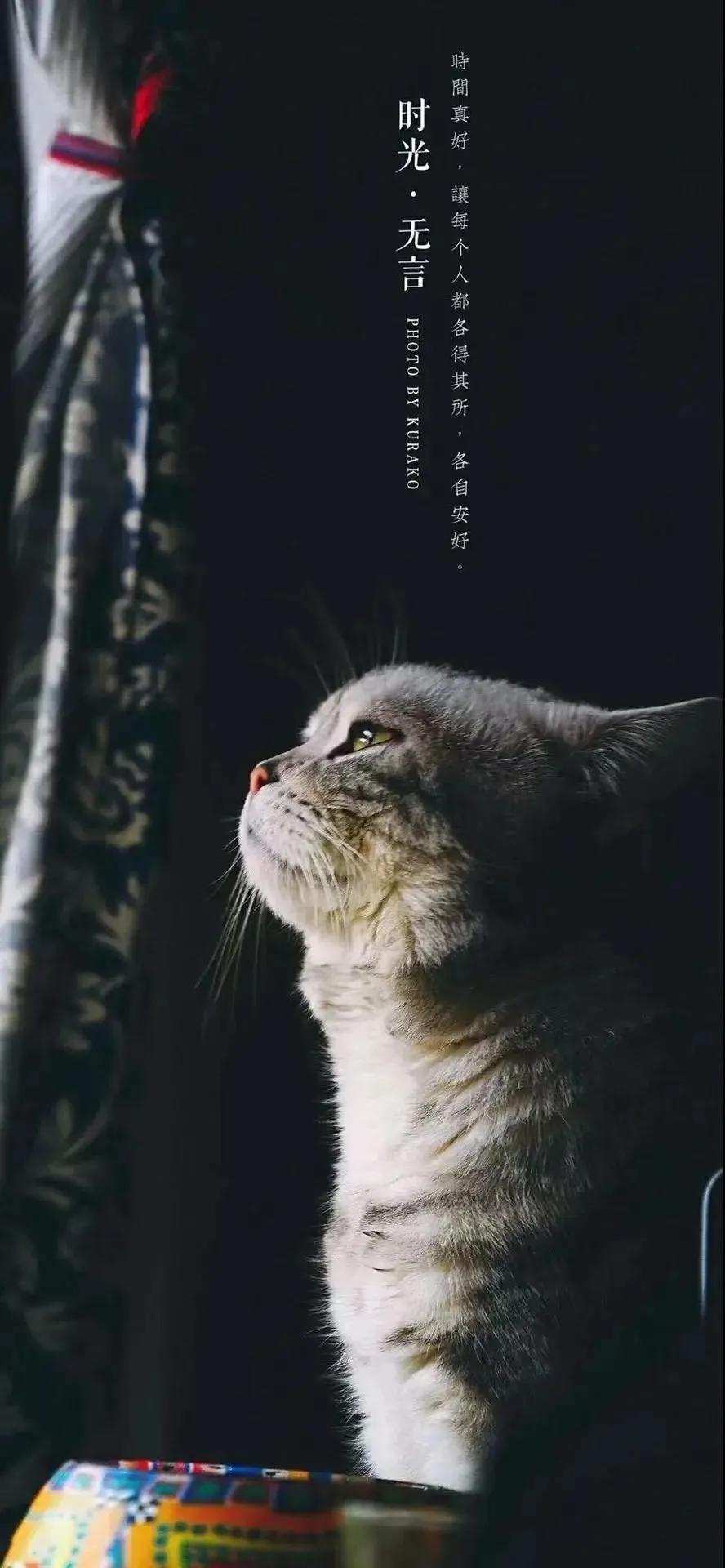 纳税申报代办在线咨询,代办个税纳税申报咨询公司