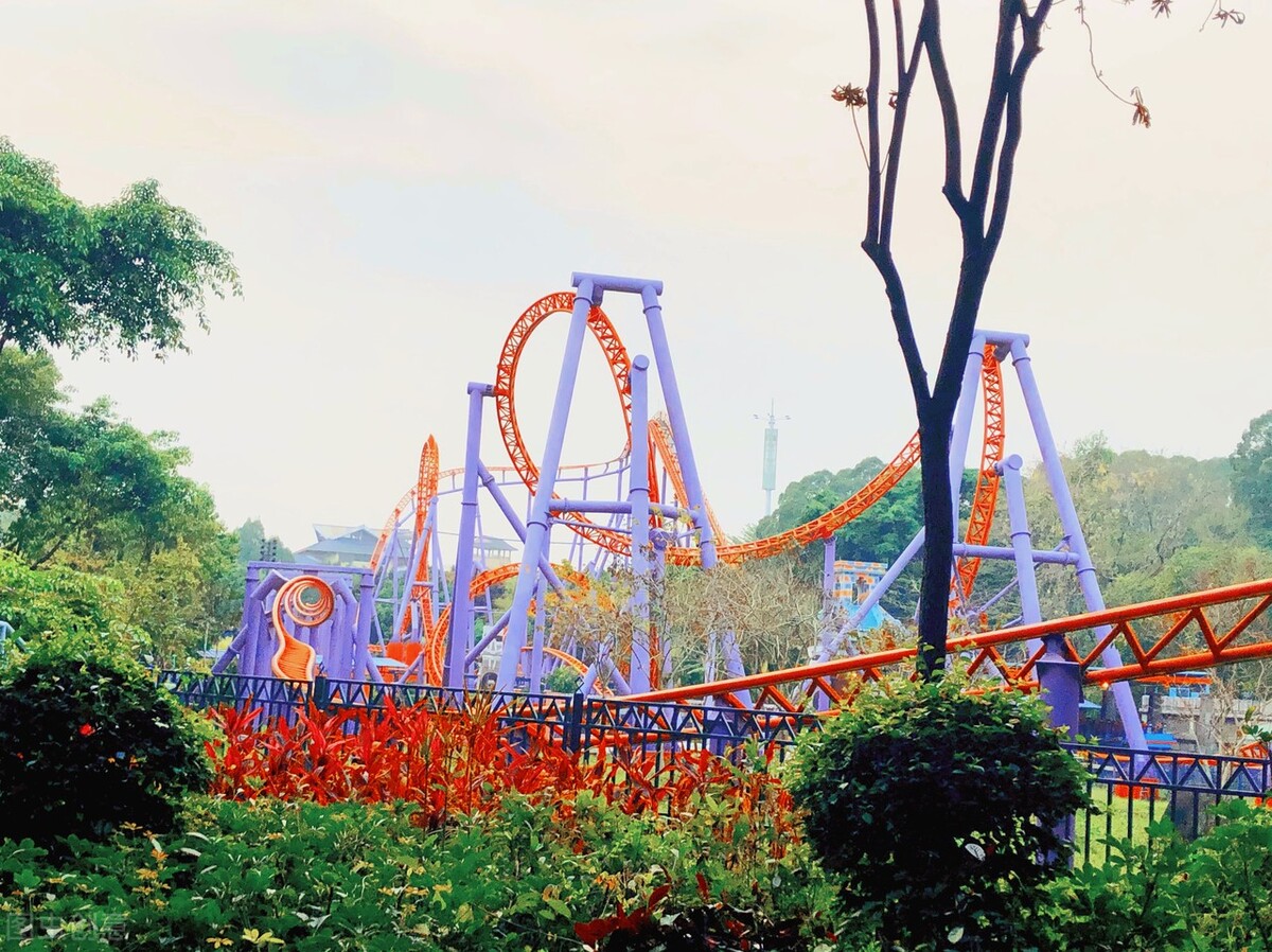 长隆野生动物园和欢乐世界远吗,长隆欢乐世界和动物园在一起吗