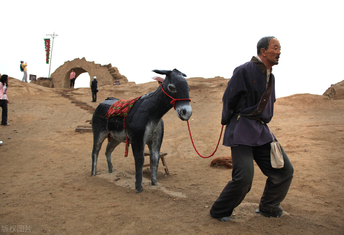 母驴与邻居家公驴配种，之后却意外死亡，农户气不过将其告上法庭