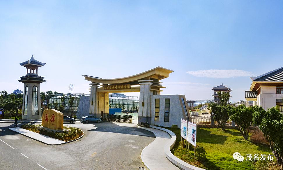 茂名要打造中国荔枝种业“硅谷”！走，实地探访国家荔枝种质资源圃！